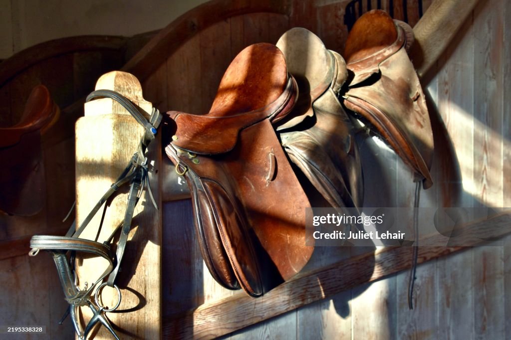 Sunlight on leather saddles.