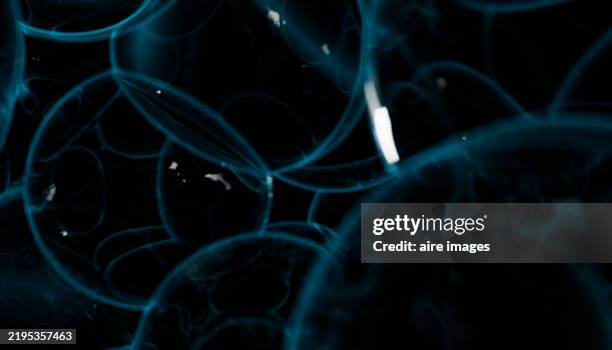blue plasma bubbles floating on a black background - bubble universe stock pictures, royalty-free photos & images