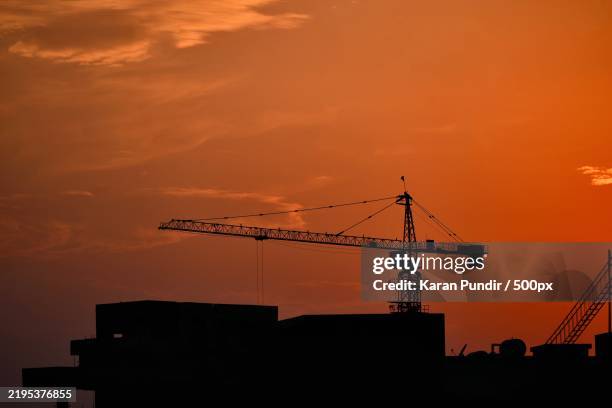 silhouette of crane against sky during sunset,noida,uttar pradesh,india - uttar pradesh stock pictures, royalty-free photos & images