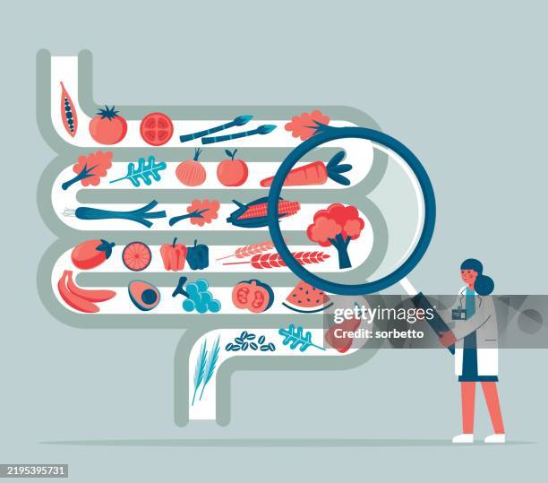 untersuchung des gesunden darms - ärztin - darmschleimhaut stock-grafiken, -clipart, -cartoons und -symbole