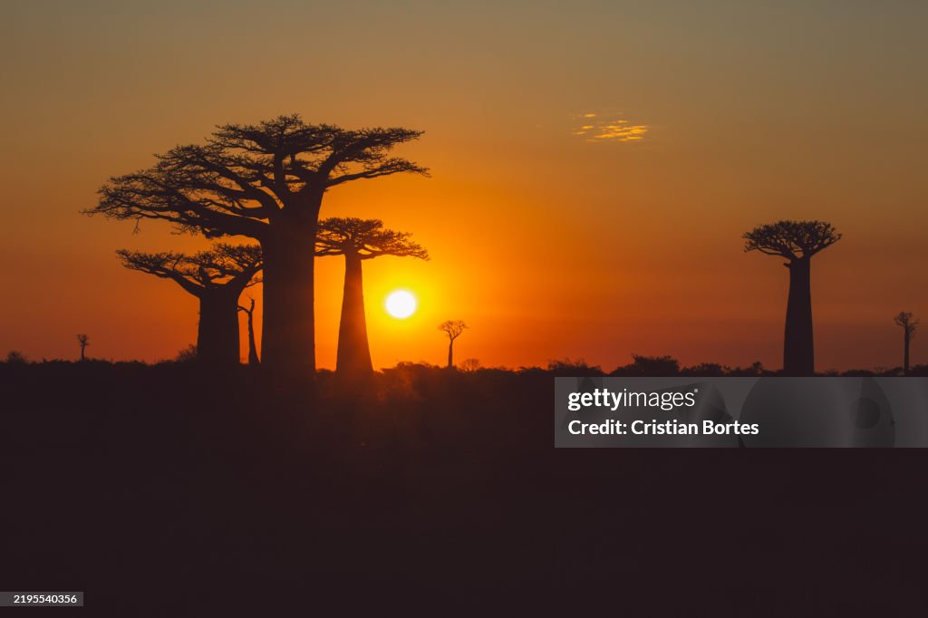 Madagascar