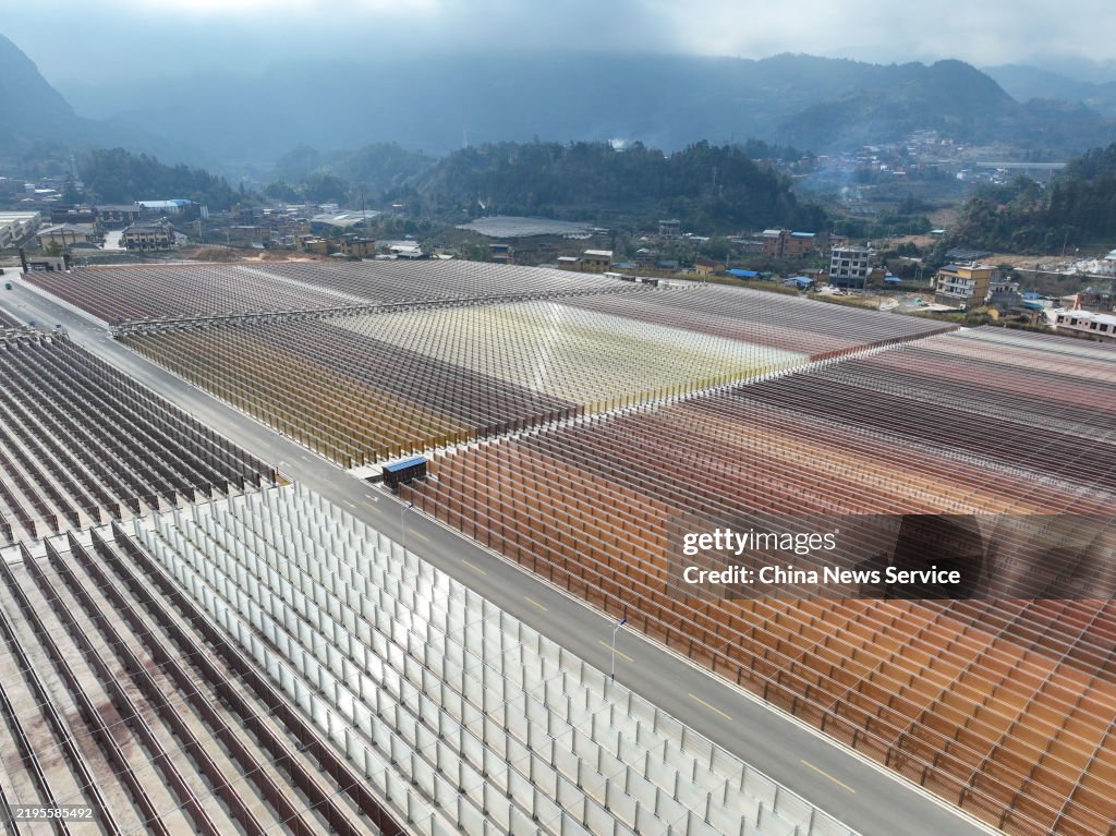 World's Largest Natural Astaxanthin Production Base In Yunnan