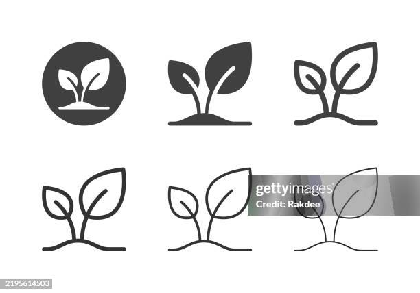 ilustrações de stock, clip art, desenhos animados e ícones de flower icons - multi series - planta nova