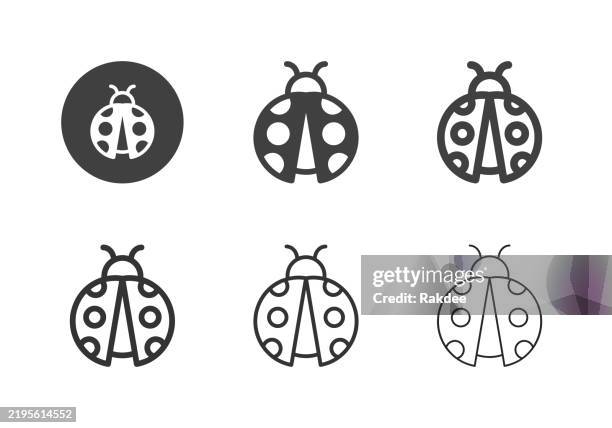 ilustrações de stock, clip art, desenhos animados e ícones de ladybug icons - multi series - joaninha