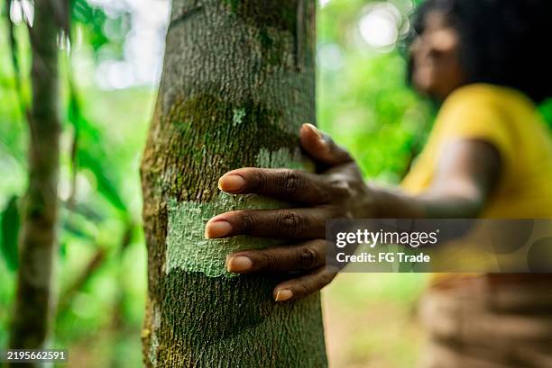 close-up of woman with hand on tree in forest - amazon rainforest stock pictures, royalty-free photos & images