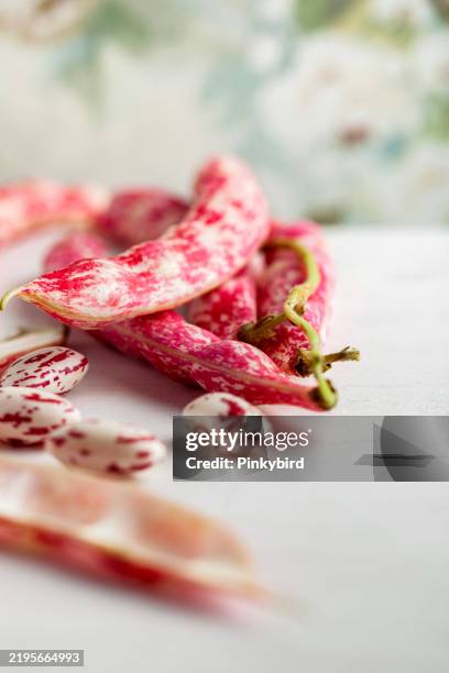 kidney bean. cranberry beans. borlotti beans and pods. beans. fresh pinto beans isolated on white backgrounds. - butter bean pods stock pictures, royalty-free photos & images