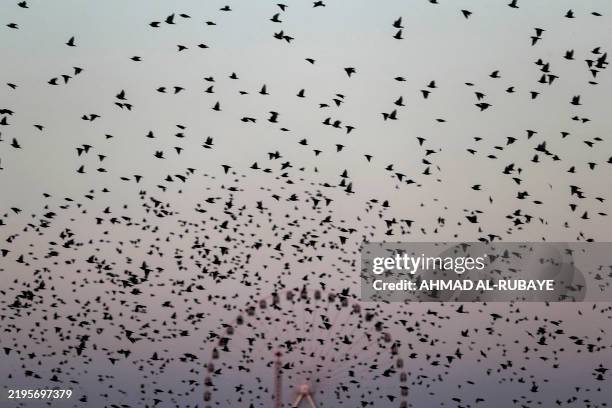 Migratory birds fly near a Ferris wheel at an amusement park in eastern Baghdad on January 27, 2025.