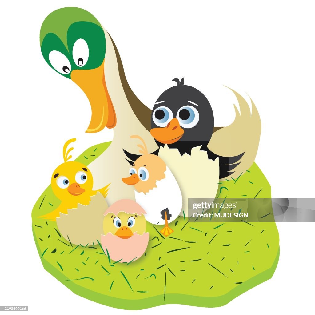 Ugly duckling fairy tale cartoon vector illustration