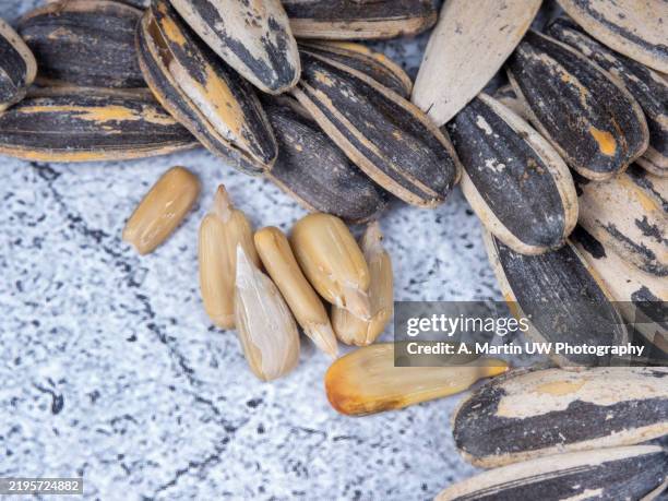 sunflower seeds scattered on a textured surface, displaying shelled and unshelled kernels - zonnebloempit stockfoto's en -beelden