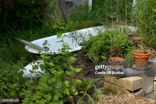 abandoned white bathtub amidst overgrown greenery and weeds with terracotta pots and a concrete block in the foreground - urban exploration stock pictures, royalty-free photos & images