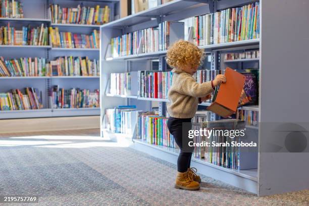 a toddler with curly hair wearing a sweater and boots is selecting a book from a shelf in a library. cleveland, ohio, usa - public library stock pictures, royalty-free photos & images