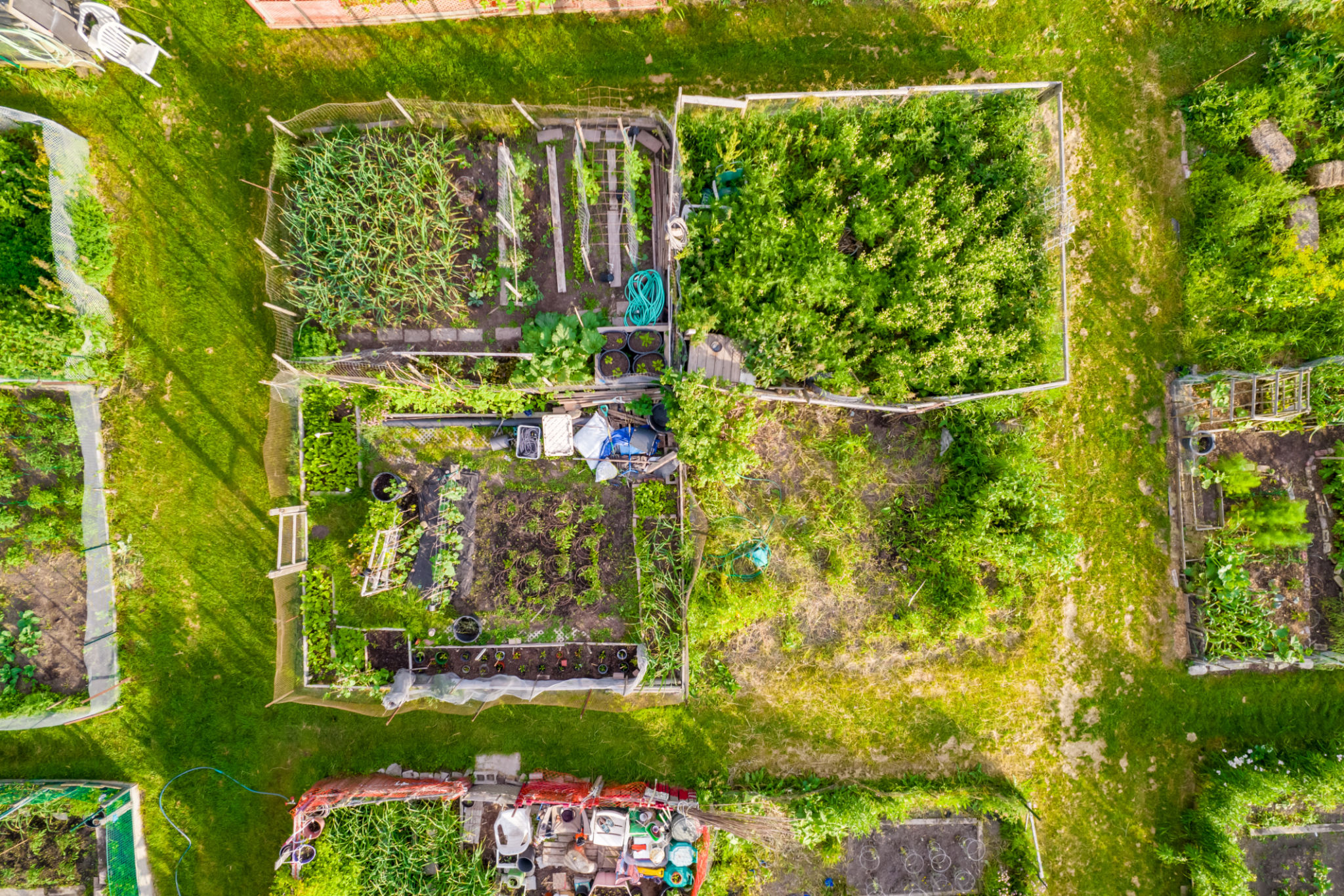 urban permaculture