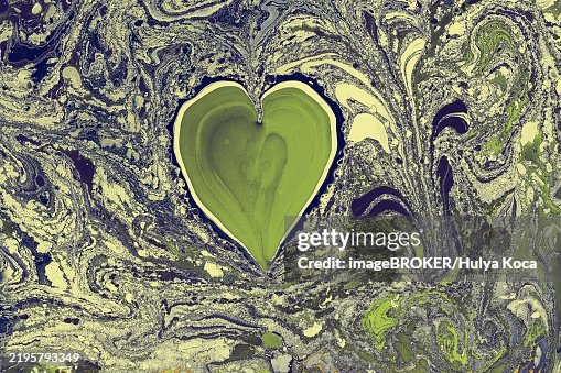Ebru marble conch effect surface pattern design for print Ebru marble conch effect surface pattern design for print