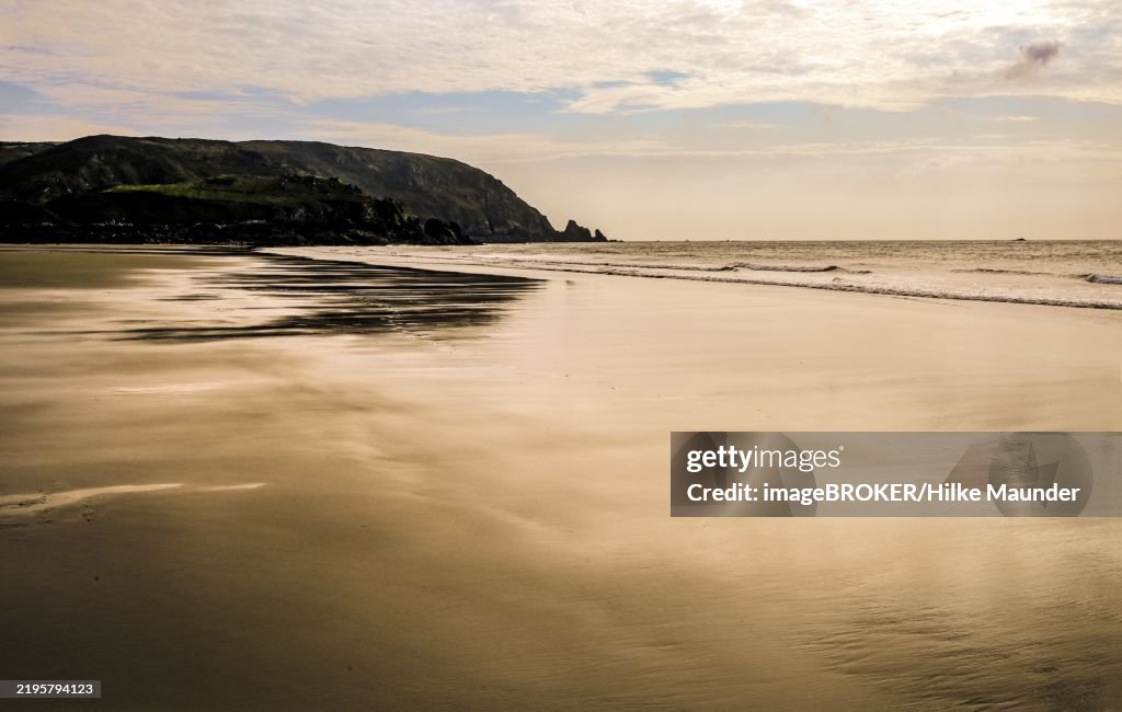 The Baie d'Écalgrain on the Cotentin peninsula at low tide at twilight, Manche departement, Normandy, France, Europe
