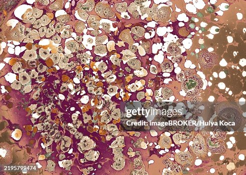 Abstract creative marbling pattern for fabric, design background texture Abstract creative marbling pattern for fabric, design background texture