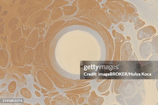 Ebru marble conch effect surface pattern design for print Ebru marble conch effect surface pattern design for print