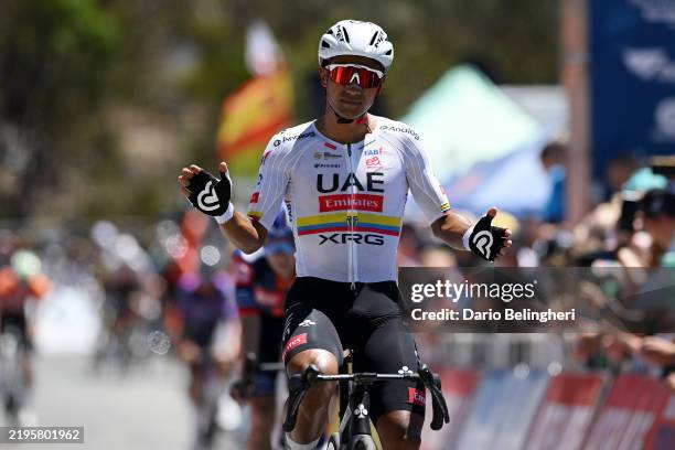 Jhonatan Narvaez of Ecuador and UAE Team Emirates Xrg celebrates at finish line as stage winner during the 25th Santos Tour Down Under 2025, Stage 5...
