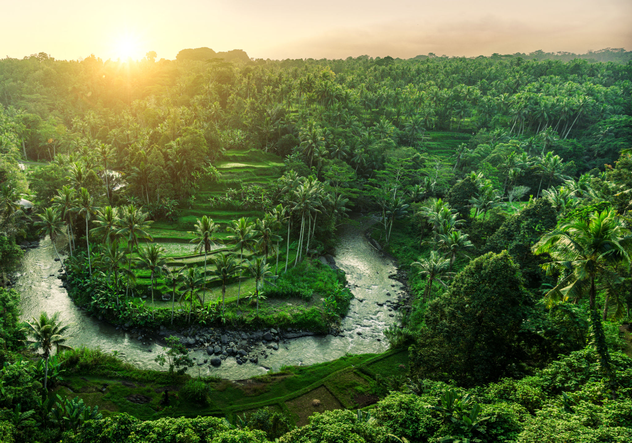 ubud creative
