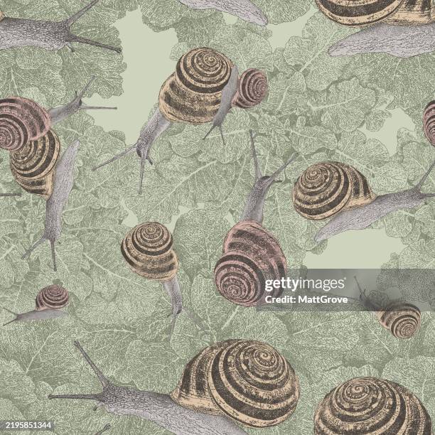 snails on cabbages seamless repeat - snail shell stock illustrations