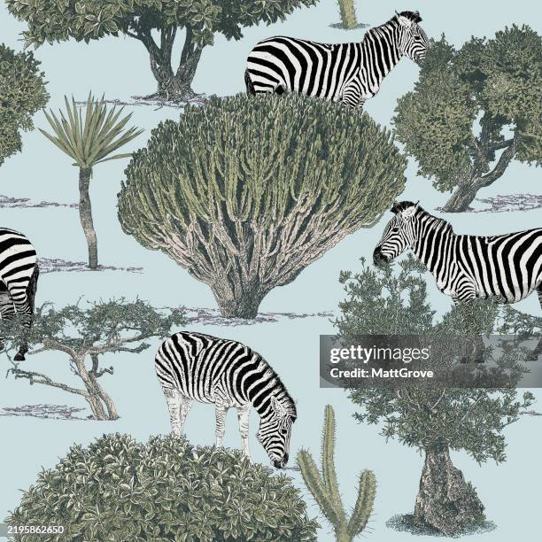 zebra cacti palm trees blue background - zebra serengeti stock illustrations