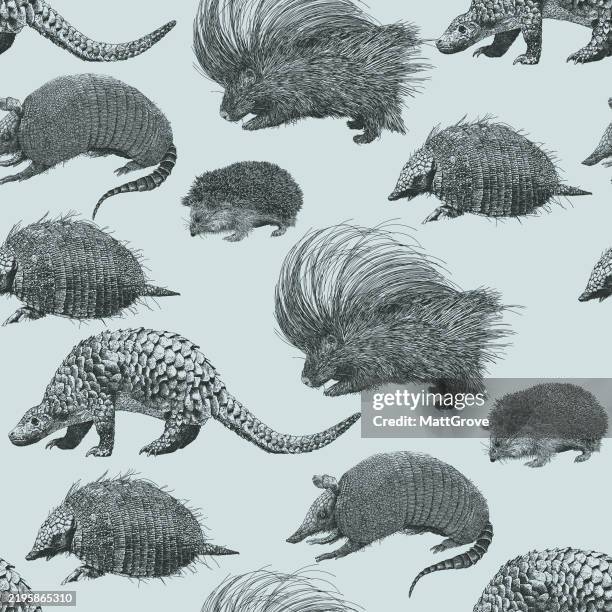 armadillo porcupine pangolin seamless pattern - hedgehog stock illustrations