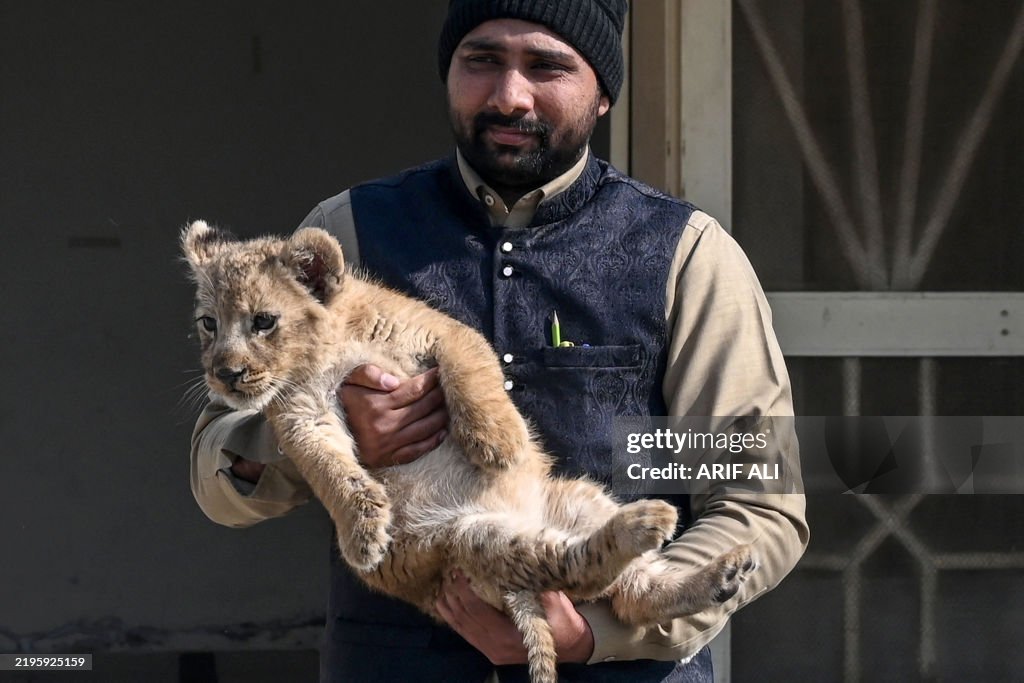 PAKISTAN-YOUTUBE-ANIMALS-OFFBEAT