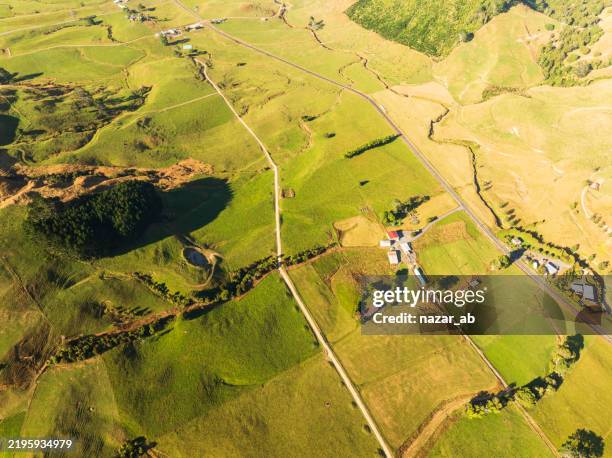 lush countryside with vibrant green fields. - waikato region stock pictures, royalty-free photos & images