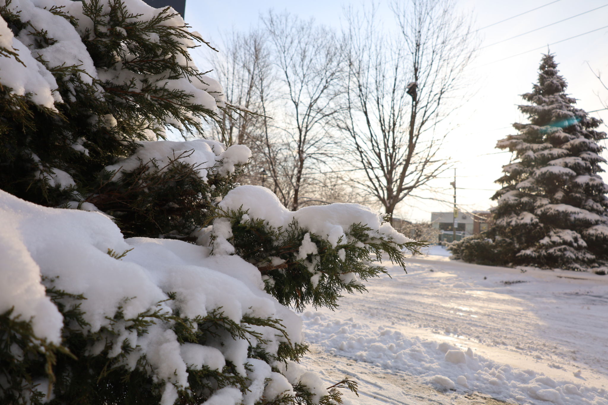 entretien hiver