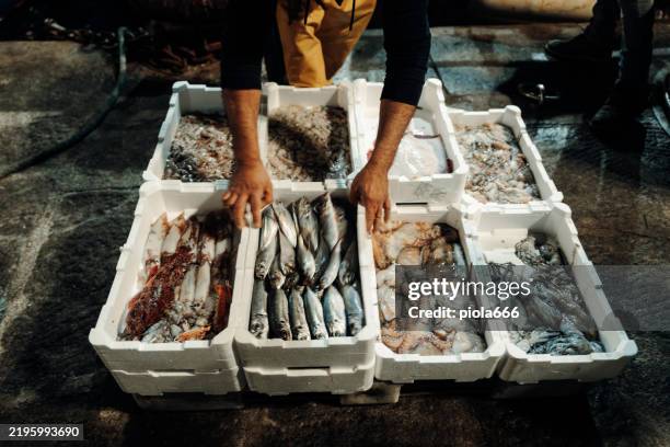 pesca nel mediterraneo: pescatori che scaricano cassette di pesce - pescatore foto e immagini stock