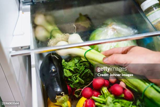 cropped hand of person holding scallion over vegetables in refrigerator - réfrigérateur fermé photos et images de collection