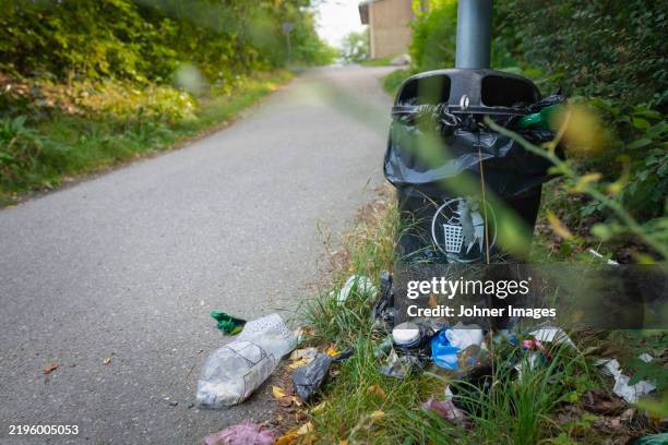 Litter Mess 24 Cat Litter Mess Stock Photos, High-Res Pictures, and Images - Getty ...