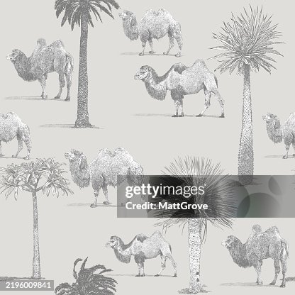 Camels & Palm Trees Desert Repeat Pattern Camels & Palm Trees Desert Repeat Pattern
