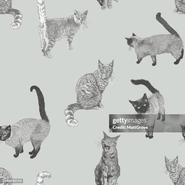 cats domestic pets repeat pattern - paw background stock illustrations