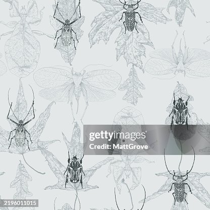 Insects & Leaves Seamless Pattern Insects & Leaves Seamless Pattern