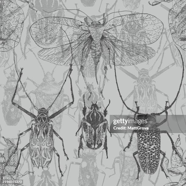 beetles repeat - ladybug background stock illustrations
