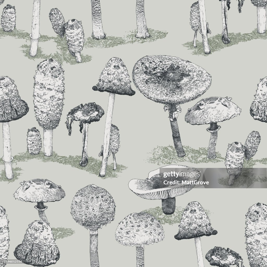Mushrooms & Toadstools Repeat Pattern