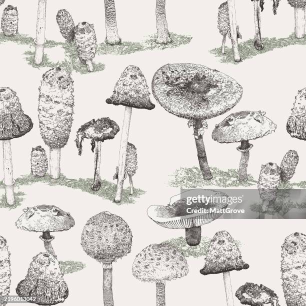 toadstools & mushrooms repeat pattern - sarcophyton coral stock illustrations