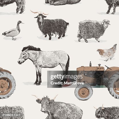 Farmyard Animals & Tractor Repeat Pattern Farmyard Animals & Tractor Repeat Pattern