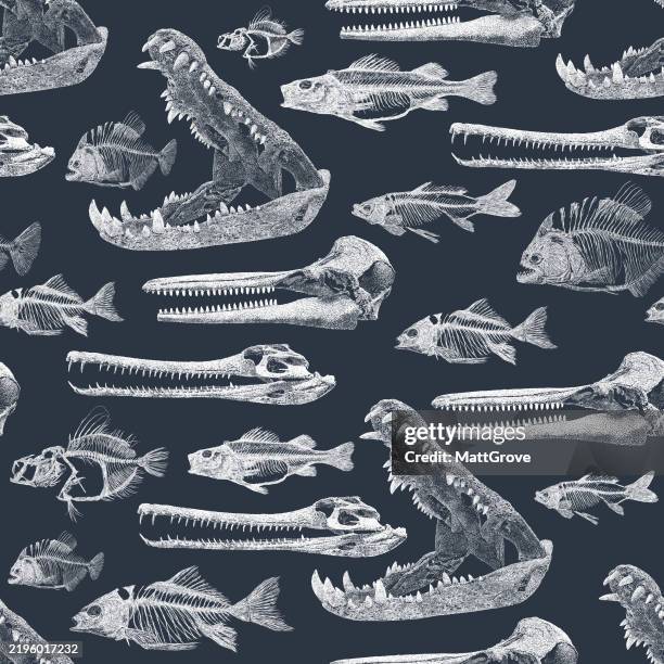 stockillustraties, clipart, cartoons en iconen met animal skulls caiman crocodile fish dolphin - krokodillenfamilie