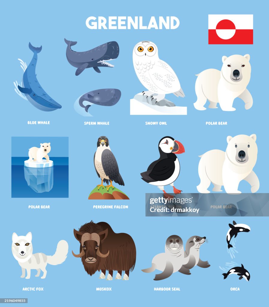 Greenland Animals