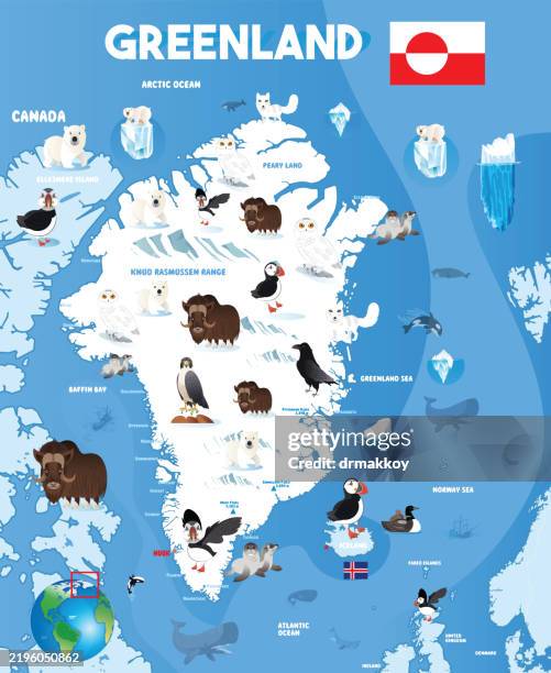 greenland maps and greenland animals - greenland shark stock illustrations