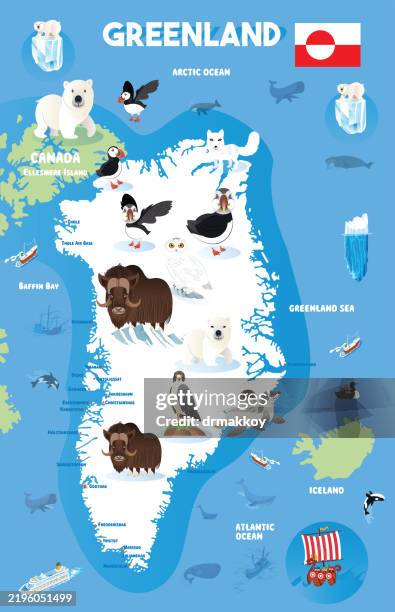 greenland animals - greenland shark stock illustrations