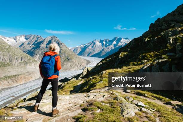 aletsch glacier hike, valais, switzerland - aletsch glacier stock pictures, royalty-free photos & images