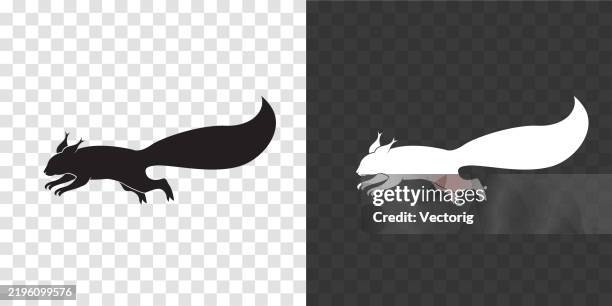 squirrel silhouette logo - squirrel silhouette stock illustrations