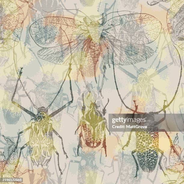 beetles insect camo seamless repeat - stink bug stock illustrations
