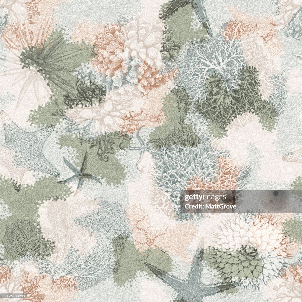 Coral Reef Rock Pool Stones Pattern