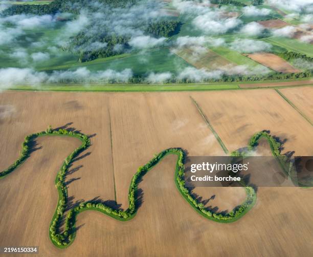 foggy spring morning at the field - plowed field stock pictures, royalty-free photos & images