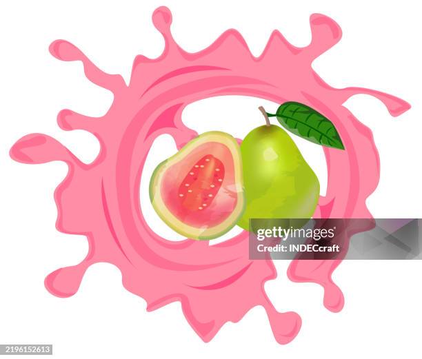 Guava Vector High Resolution Guava Fruit Juice Splash High-Res Vector Graphic - Getty Images
