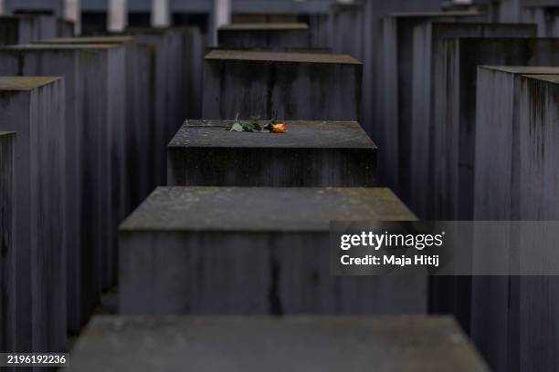 Rose is placed on the Holocaust Memorial on the International Holocaust Remembrance Day on January 27, 2025 in Berlin, Germany. Holocaust Remembrance...