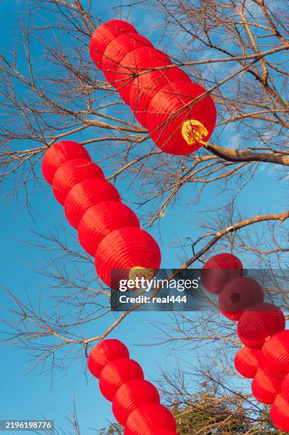 lanterne cinesi - lanterna cinese foto e immagini stock